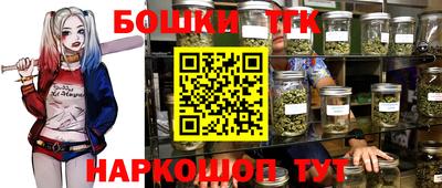 крисы Краснознаменск