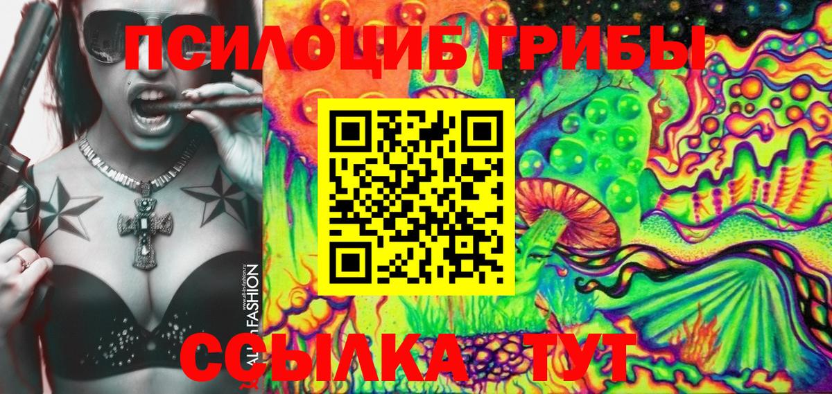 Псилоцибиновые грибы GOLDEN TEACHER Димитровград