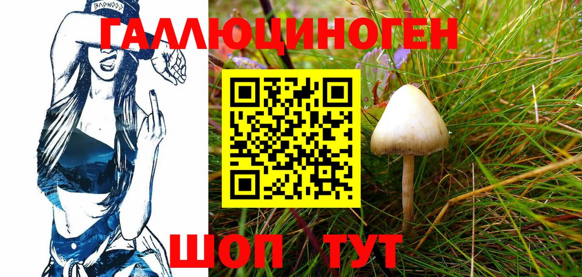 Псилоцибиновые грибы Magic Shrooms  Вход с VPN  Димитровград 
